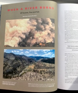 Monthei's article in the Patagonia catalog