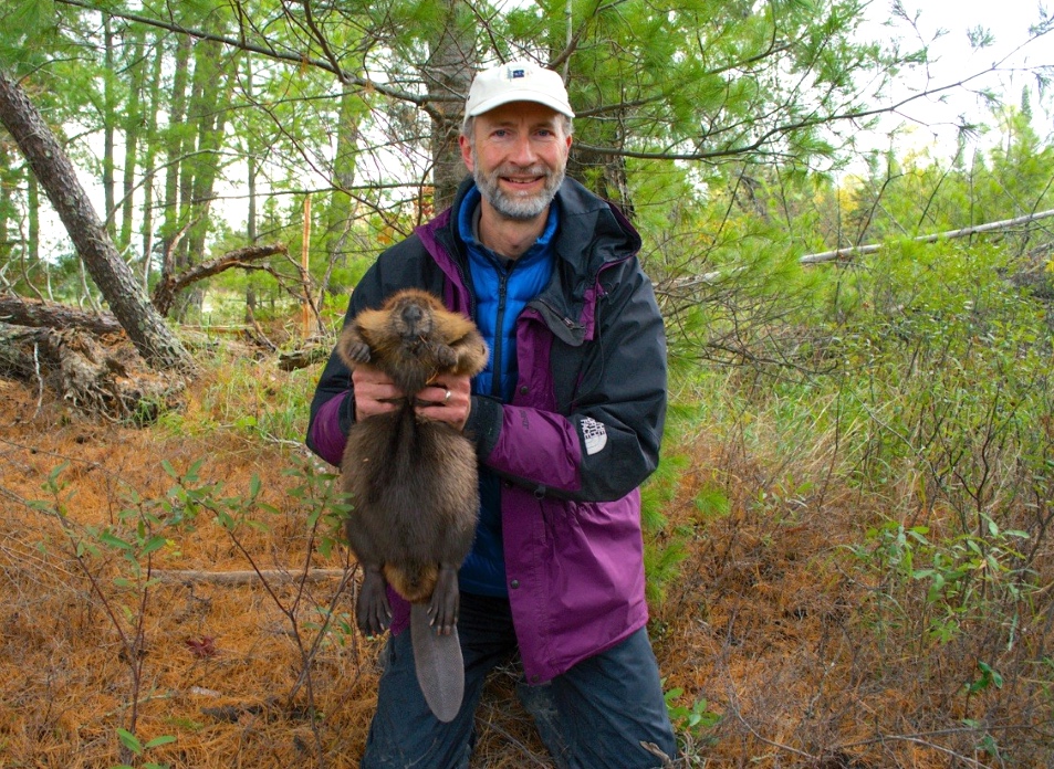 Bruggink with a beaver during previous research