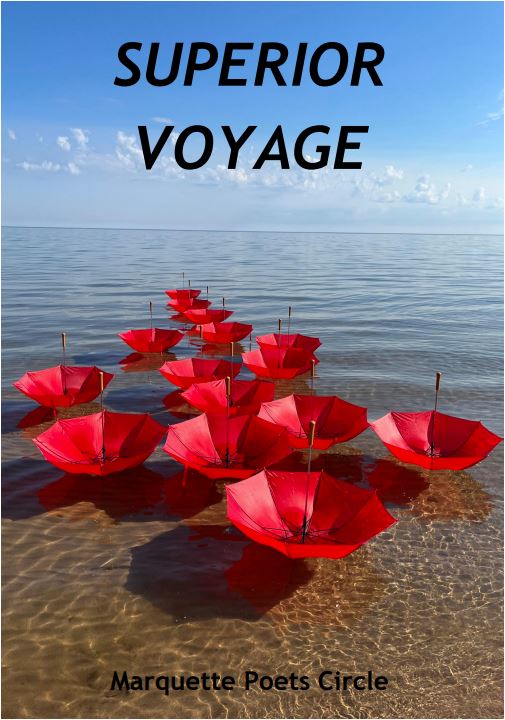 "Superior Voyage" book cover