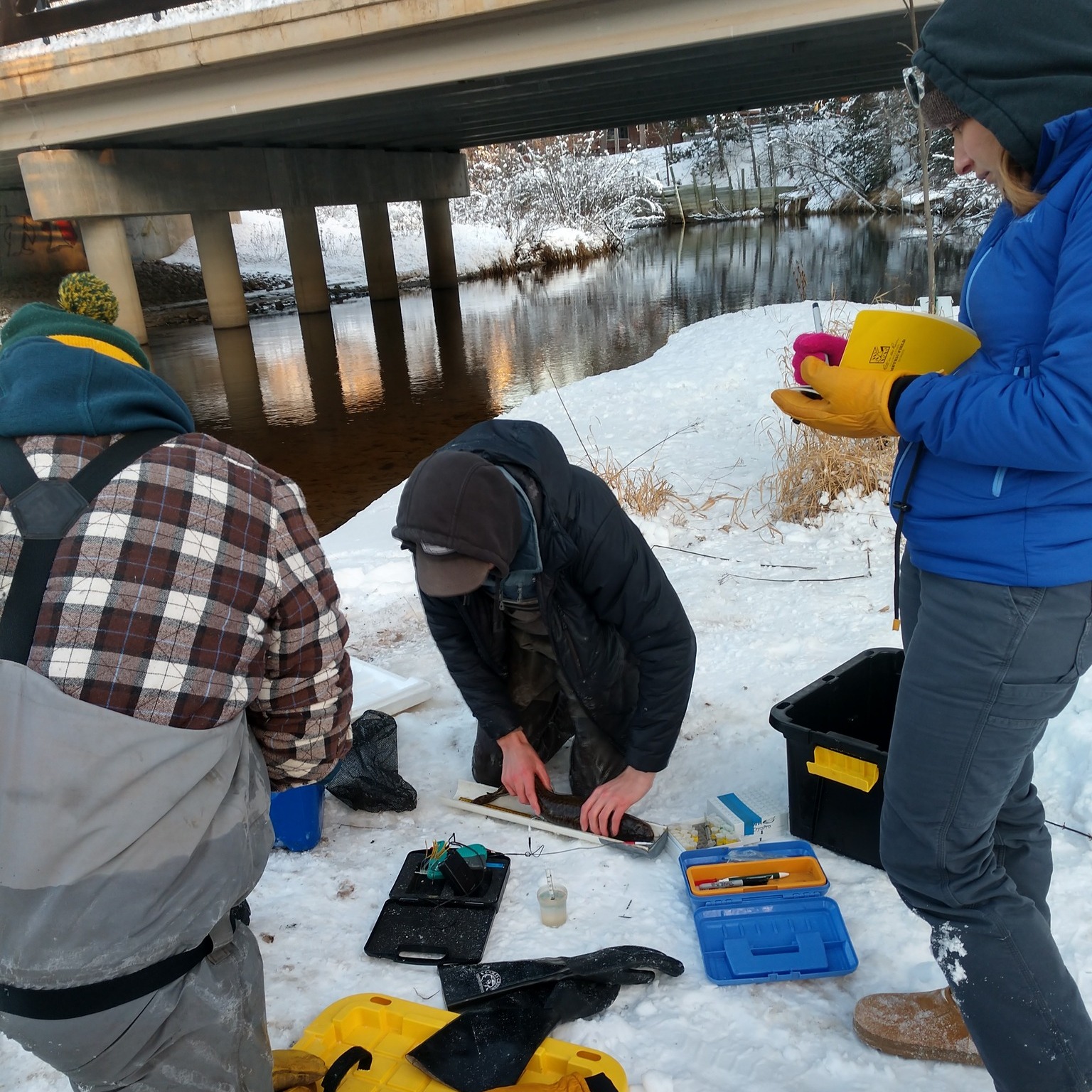 Members of Leonard's fish lab out in the field studying burbot