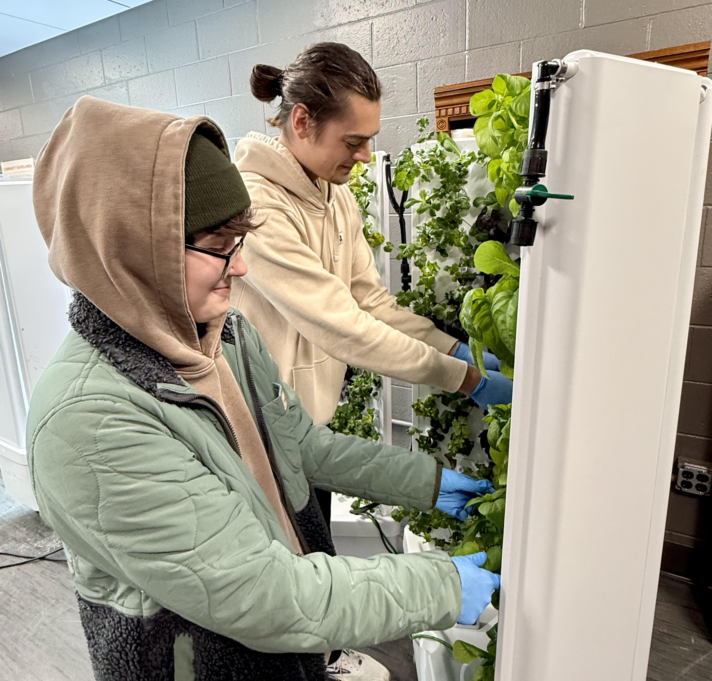 Directed study students Lilly Brooks (left) and Raymond Greimel said it is rewarding to grow healthy, fresh produce for their peers who visit NMU Food Pantry locations.
