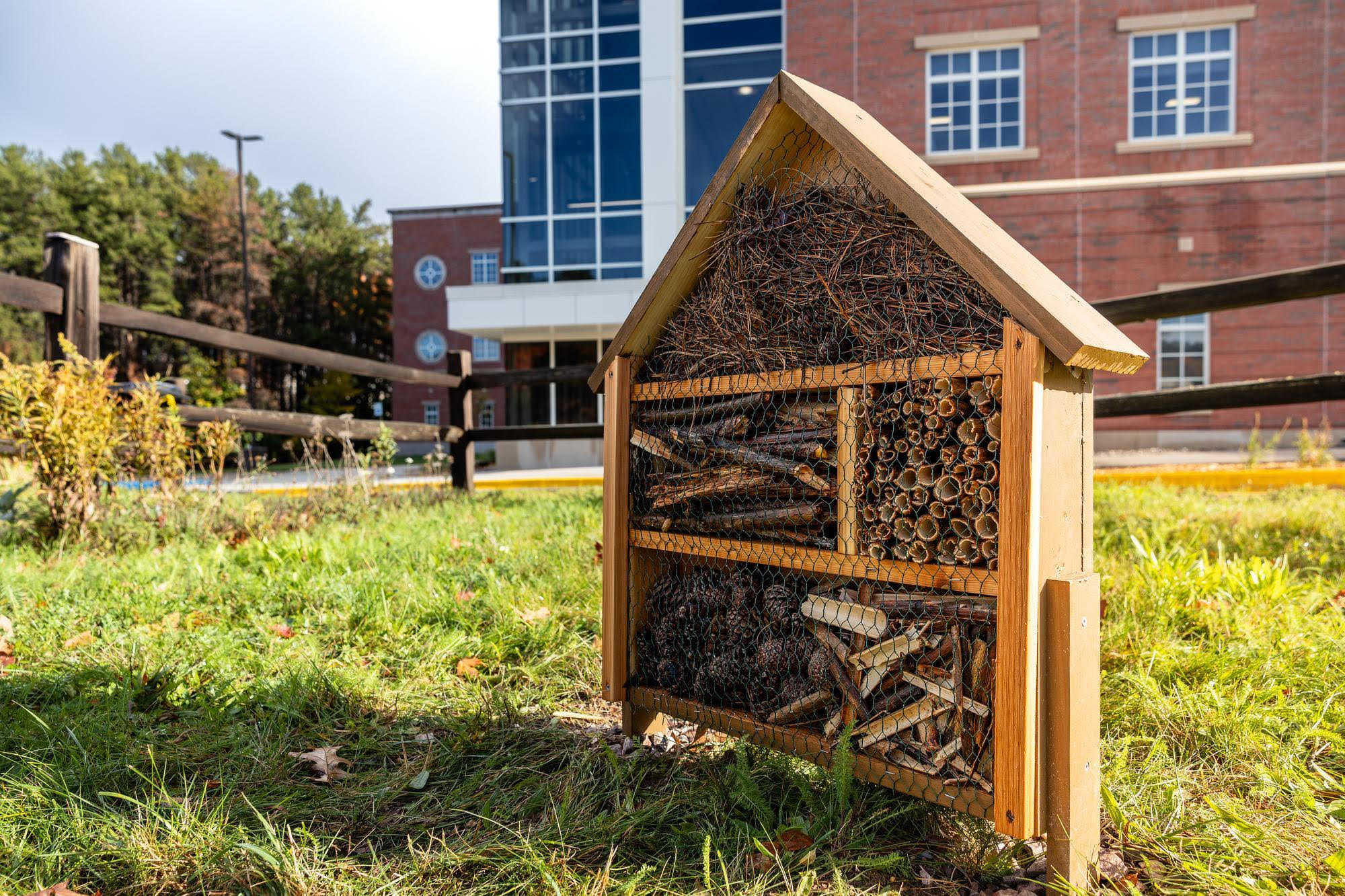 One of the "overwintering hotels" on campus