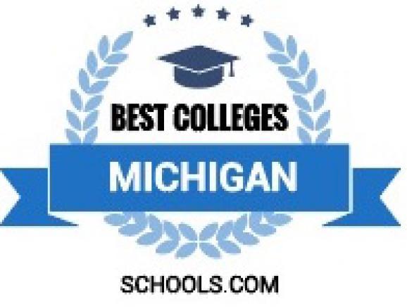 Graphic of best colleges michigan