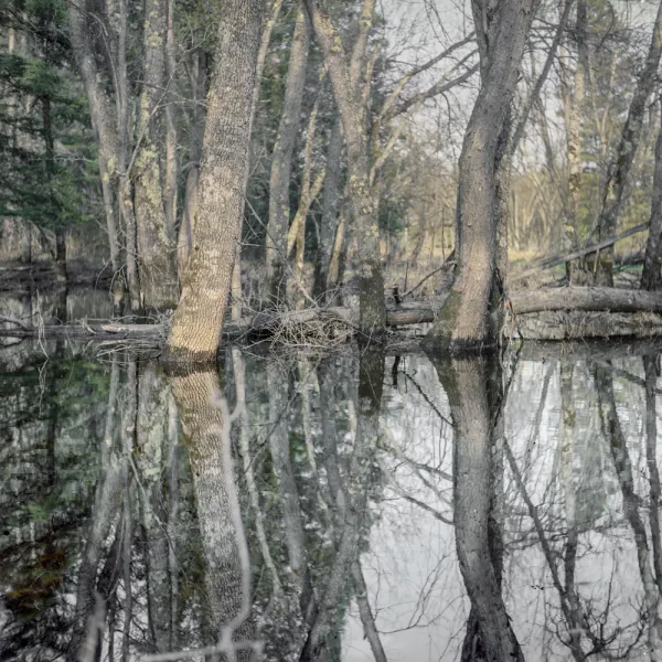 ©Christine Lenzen, Mashek, MI