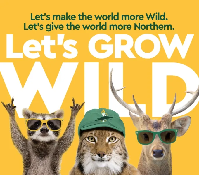 Day of Giving poster