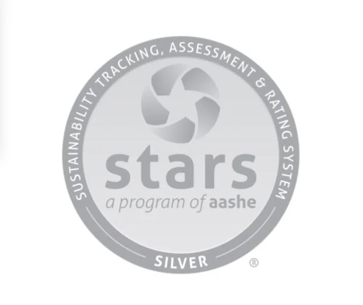 Silver logo