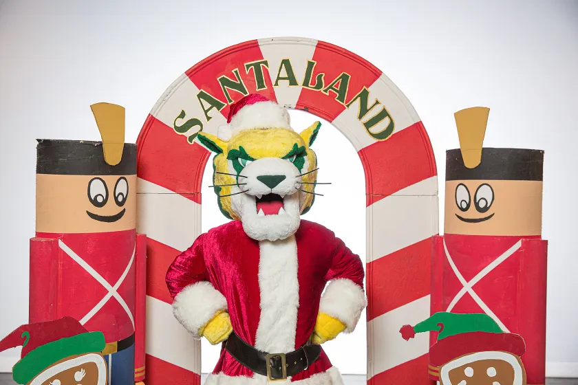 Wildcat Willy image for photos