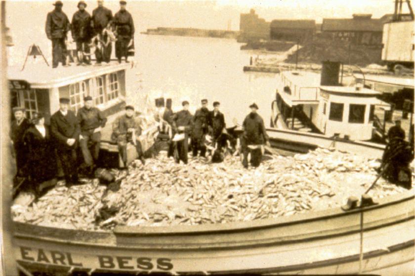 Large commercial catch (Great Lakes Fishery Commission photo)