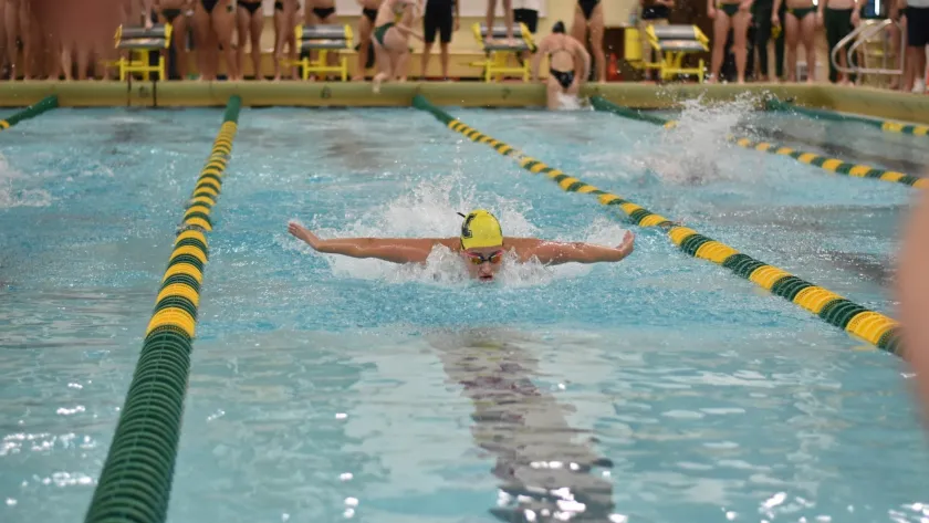 NMU swimming stock photo
