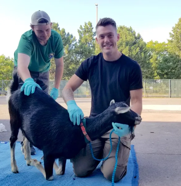 Anthony Clyne (right) with another participant and one of the goats.