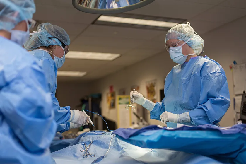 NMU surgical tech stock photo