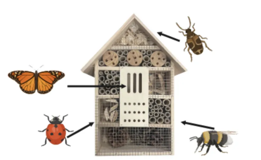 Pollinators' habitat example