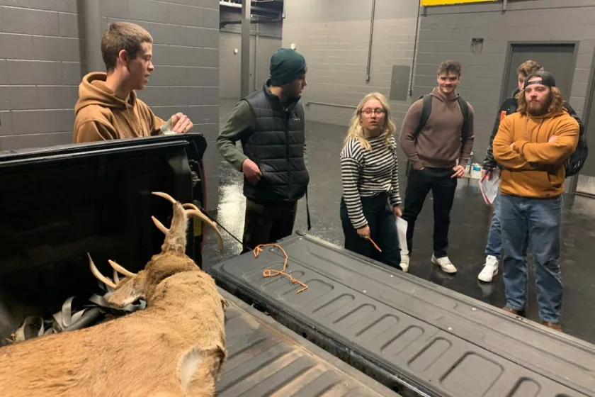 In one of several mock crime scenes that help NMU students learn how to investigate environmental crimes, this group examine a fake deer carcass loaded in the back of a hunter’s truck (Jeremy Sergey photo)..
