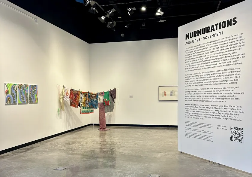 A portion of the "Murmurations" exhibition at NMU's DeVos Art Museum