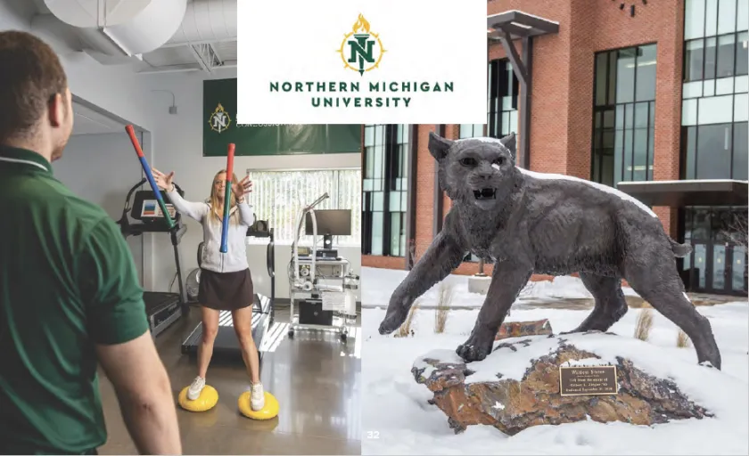 Photos of NMU Concussion Clinic and Wildcat statue included in the NMU section of the report.