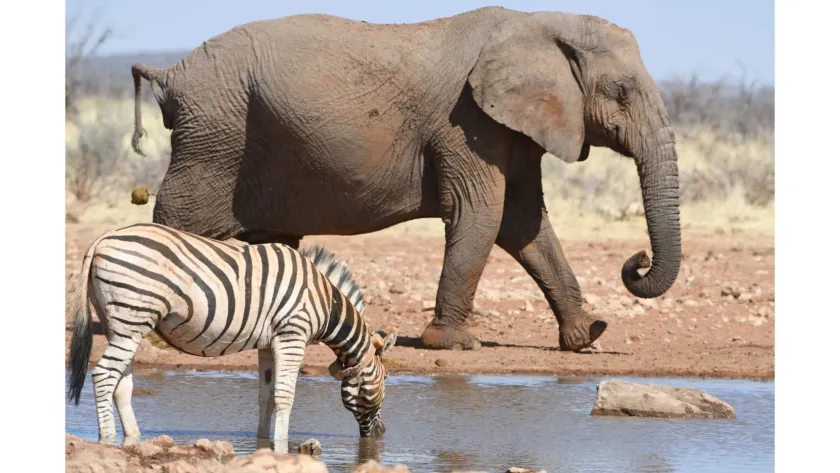 Photo by James C. Beasley