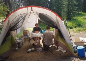 Rohde and Kraushaar in a tent