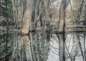 ©Christine Lenzen, Mashek, MI