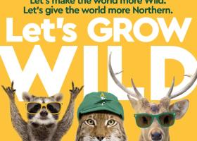 Day of Giving poster