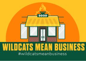 #WildcatsMeanBusiness logo