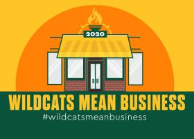 Wildcats Mean Business logo