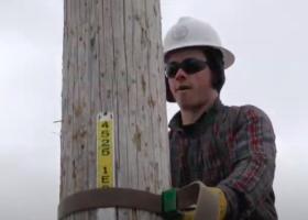 Carr climbing an electrical pole