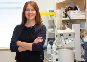 Mattson in her laboratory at WPI