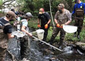 The class electrofishing