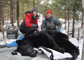 Gillman (left) and Lafferty in the field.