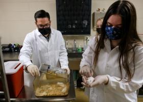 Hillhouse (left) with students in his lab (UWGB photo)