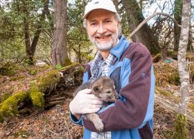 Bruggink with a wolf pup