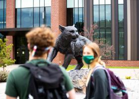 Stock photo near wildcat statue
