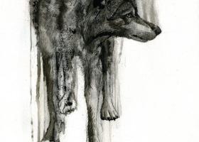 "Dissolving" by Ned Gannon