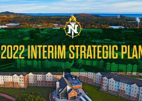 Interim strategic plan cover