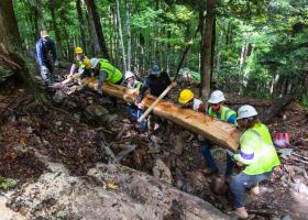 Trail-building activity