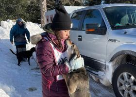 2022 sled dog race (Pre-Vet Club Facebook photo)