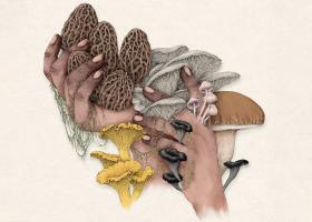 Illustration by Pola Heredia for YES! Media