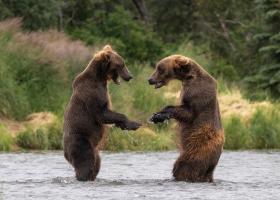 Jensen's contest-winning photo