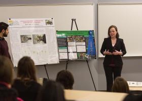 Photo from past Celebration