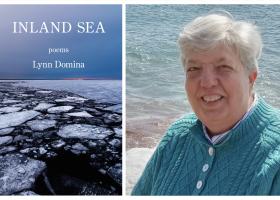 Book cover and Domina