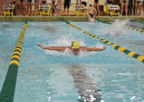 NMU swimming stock photo