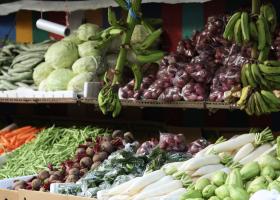 Vegetables stock photo