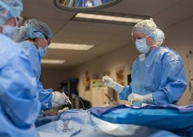 NMU surgical tech stock photo