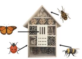 Pollinators' habitat example