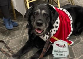 Welles with his award. He was dressed and treated like royalty for making such a positive impact on campus and in the community.