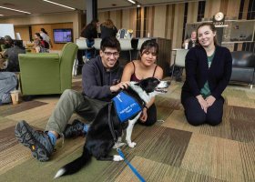Wildpups can help provide stress relief and positive interactions for NMU students.