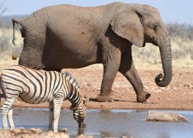 Photo by James C. Beasley