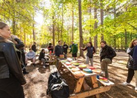 Finnish visitors play disc golf with NMU representatives