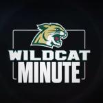 Wildcat Minute logo
