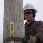 Carr climbing an electrical pole